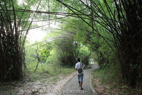 ----- Path way to mirror cave
