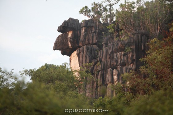 ----- Cliff at Mirror cave