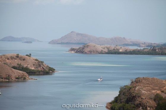 ----- Rinca from the top 01