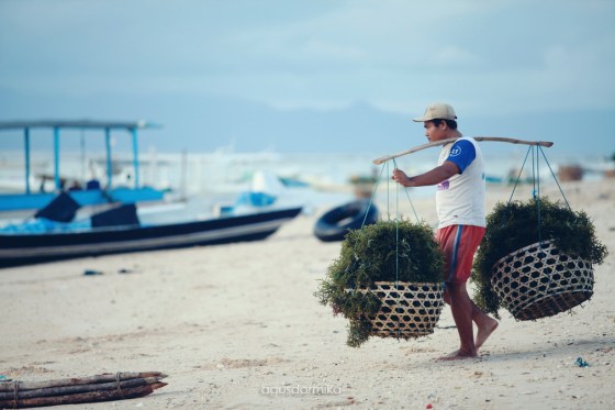 lembongan-20_resize