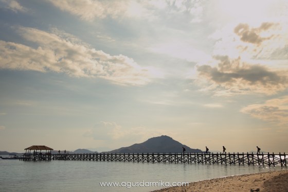 pulaupunggu (41)_resize